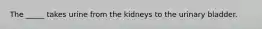 The _____ takes urine from the kidneys to the urinary bladder.