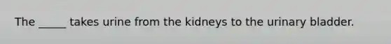 The _____ takes urine from the kidneys to the urinary bladder.