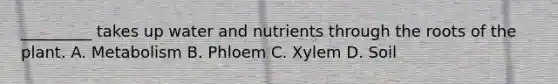 _________ takes up water and nutrients through the roots of the plant. A. Metabolism B. Phloem C. Xylem D. Soil