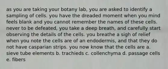 as you are taking your botany lab, you are asked to identify a sampling of cells. you have the dreaded moment when you mind feels blank and you cannot remember the names of these cells. never to be defeated, you take a deep breath, and carefully start observing the details of the cells. you breathe a sigh of relief when you note the cells are of an endodermis, and that they do not have casparian strips. you now know that the cells are a. sieve tube elements b. trachieds c. collenchyma d. passage cells e. fibers