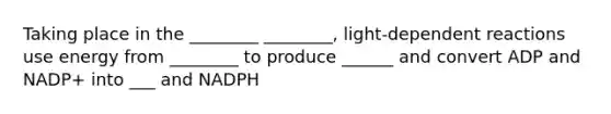 Taking place in the ________ ________, light-dependent reactions use energy from ________ to produce ______ and convert ADP and NADP+ into ___ and NADPH