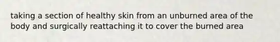 taking a section of healthy skin from an unburned area of the body and surgically reattaching it to cover the burned area