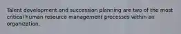 Talent development and succession planning are two of the most critical human resource management processes within an organization.