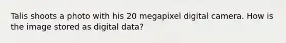 Talis shoots a photo with his 20 megapixel digital camera. How is the image stored as digital data?