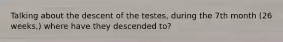 Talking about the descent of the testes, during the 7th month (26 weeks,) where have they descended to?