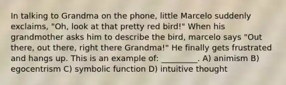 In talking to Grandma on the phone, little Marcelo suddenly exclaims, "Oh, look at that pretty red bird!" When his grandmother asks him to describe the bird, marcelo says "Out there, out there, right there Grandma!" He finally gets frustrated and hangs up. This is an example of: _________. A) animism B) egocentrism C) symbolic function D) intuitive thought