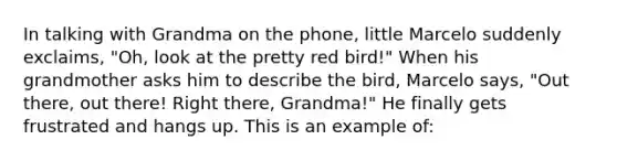 In talking with Grandma on the phone, little Marcelo suddenly exclaims, "Oh, look at the pretty red bird!" When his grandmother asks him to describe the bird, Marcelo says, "Out there, out there! Right there, Grandma!" He finally gets frustrated and hangs up. This is an example of: