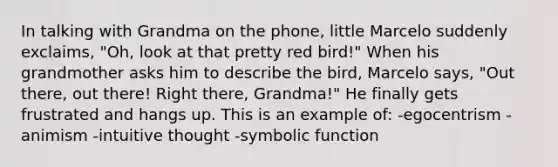 In talking with Grandma on the phone, little Marcelo suddenly exclaims, "Oh, look at that pretty red bird!" When his grandmother asks him to describe the bird, Marcelo says, "Out there, out there! Right there, Grandma!" He finally gets frustrated and hangs up. This is an example of: -egocentrism -animism -intuitive thought -symbolic function