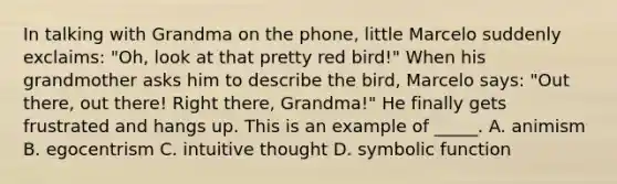 In talking with Grandma on the phone, little Marcelo suddenly exclaims: "Oh, look at that pretty red bird!" When his grandmother asks him to describe the bird, Marcelo says: "Out there, out there! Right there, Grandma!" He finally gets frustrated and hangs up. This is an example of _____. A. animism B. egocentrism C. intuitive thought D. symbolic function