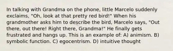 In talking with Grandma on the phone, little Marcelo suddenly exclaims, "Oh, look at that pretty red bird!" When his grandmother asks him to describe the bird, Marcelo says, "Out there, out there! Right there, Grandma!" He finally gets frustrated and hangs up. This is an example of: A) animism. B) symbolic function. C) egocentrism. D) intuitive thought