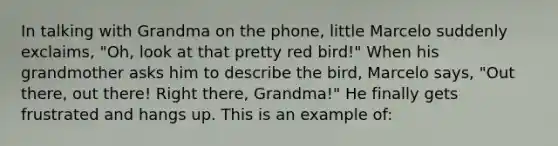 In talking with Grandma on the phone, little Marcelo suddenly exclaims, "Oh, look at that pretty red bird!" When his grandmother asks him to describe the bird, Marcelo says, "Out there, out there! Right there, Grandma!" He finally gets frustrated and hangs up. This is an example of: