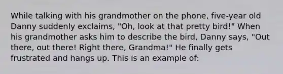 While talking with his grandmother on the phone, five-year old Danny suddenly exclaims, "Oh, look at that pretty bird!" When his grandmother asks him to describe the bird, Danny says, "Out there, out there! Right there, Grandma!" He finally gets frustrated and hangs up. This is an example of: