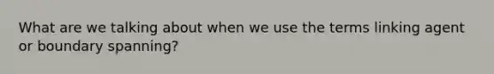 What are we talking about when we use the terms linking agent or boundary spanning?