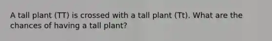 A tall plant (TT) is crossed with a tall plant (Tt). What are the chances of having a tall plant?