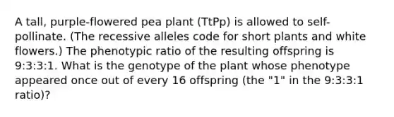 A tall, purple-flowered pea plant (TtPp) is allowed to self-pollinate. (The recessive alleles code for short plants and white flowers.) The phenotypic ratio of the resulting offspring is 9:3:3:1. What is the genotype of the plant whose phenotype appeared once out of every 16 offspring (the "1" in the 9:3:3:1 ratio)?