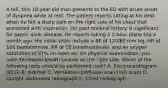 A tall, thin 18-year-old man presents to the ED with acute onset of dyspnea while at rest. The patient reports sitting at his desk when he felt a sharp pain on the right side of his chest that worsened with inspiration. His past medical history is significant for peptic ulcer disease. He reports taking a 2-hour plane trip a month ago. His initial vitals include a BP of 120/60 mm Hg, HR of 100 beats/minute, RR of 16 breaths/minute, and an oxygen saturation of 97% on room air. On physical examination, you note decreased breath sounds on the right side. Which of the following tests should be performed next? A. Electrocardiogram (ECG) B. d-dimer C. Ventilation perfusion scan (V/Q scan) D. Upright abdominal radiograph E. Chest radiograph