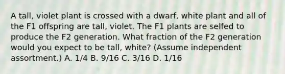 A tall, violet plant is crossed with a dwarf, white plant and all of the F1 offspring are tall, violet. The F1 plants are selfed to produce the F2 generation. What fraction of the F2 generation would you expect to be tall, white? (Assume independent assortment.) A. 1/4 B. 9/16 C. 3/16 D. 1/16