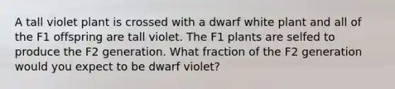 A tall violet plant is crossed with a dwarf white plant and all of the F1 offspring are tall violet. The F1 plants are selfed to produce the F2 generation. What fraction of the F2 generation would you expect to be dwarf violet?