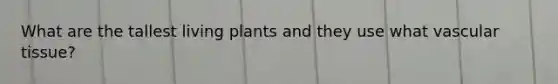 What are the tallest living plants and they use what vascular tissue?