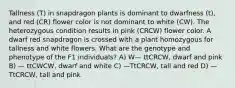 Tallness (T) in snapdragon plants is dominant to dwarfness (t), and red (CR) flower color is not dominant to white (CW). The heterozygous condition results in pink (CRCW) flower color. A dwarf red snapdragon is crossed with a plant homozygous for tallness and white flowers. What are the genotype and phenotype of the F1 individuals? A) W— ttCRCW, dwarf and pink B) — ttCWCW, dwarf and white C) —TtCRCW, tall and red D) —TtCRCW, tall and pink