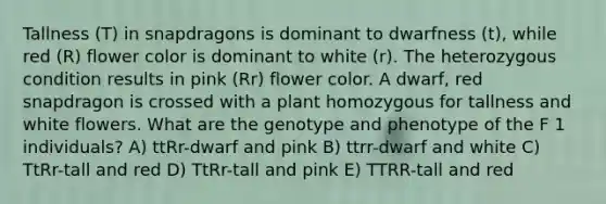 Tallness (T) in snapdragons is dominant to dwarfness (t), while red (R) flower color is dominant to white (r). The heterozygous condition results in pink (Rr) flower color. A dwarf, red snapdragon is crossed with a plant homozygous for tallness and white flowers. What are the genotype and phenotype of the F 1 individuals? A) ttRr-dwarf and pink B) ttrr-dwarf and white C) TtRr-tall and red D) TtRr-tall and pink E) TTRR-tall and red