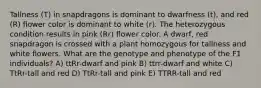 Tallness (T) in snapdragons is dominant to dwarfness (t), and red (R) flower color is dominant to white (r). The heterozygous condition results in pink (Rr) flower color. A dwarf, red snapdragon is crossed with a plant homozygous for tallness and white flowers. What are the genotype and phenotype of the F1 individuals? A) ttRr-dwarf and pink B) ttrr-dwarf and white C) TtRr-tall and red D) TtRr-tall and pink E) TTRR-tall and red