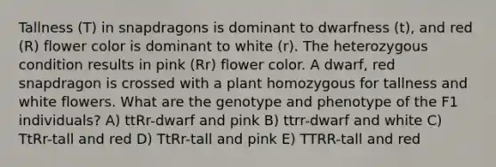 Tallness (T) in snapdragons is dominant to dwarfness (t), and red (R) flower color is dominant to white (r). The heterozygous condition results in pink (Rr) flower color. A dwarf, red snapdragon is crossed with a plant homozygous for tallness and white flowers. What are the genotype and phenotype of the F1 individuals? A) ttRr-dwarf and pink B) ttrr-dwarf and white C) TtRr-tall and red D) TtRr-tall and pink E) TTRR-tall and red