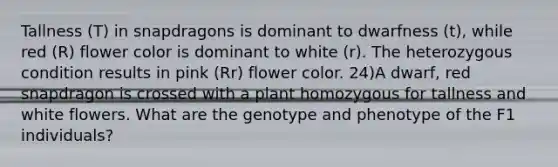 Tallness (T) in snapdragons is dominant to dwarfness (t), while red (R) flower color is dominant to white (r). The heterozygous condition results in pink (Rr) flower color. 24)A dwarf, red snapdragon is crossed with a plant homozygous for tallness and white flowers. What are the genotype and phenotype of the F1 individuals?