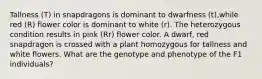 Tallness (T) in snapdragons is dominant to dwarfness (t),while red (R) flower color is dominant to white (r). The heterozygous condition results in pink (Rr) flower color. A dwarf, red snapdragon is crossed with a plant homozygous for tallness and white flowers. What are the genotype and phenotype of the F1 individuals?