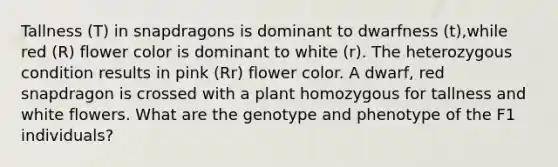 Tallness (T) in snapdragons is dominant to dwarfness (t),while red (R) flower color is dominant to white (r). The heterozygous condition results in pink (Rr) flower color. A dwarf, red snapdragon is crossed with a plant homozygous for tallness and white flowers. What are the genotype and phenotype of the F1 individuals?