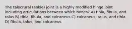 The talocrural (ankle) joint is a highly modified hinge joint including articulations between which bones? A) tibia, fibula, and talus B) tibia, fibula, and calcaneus C) calcaneus, talus, and tibia D) fibula, talus, and calcaneus