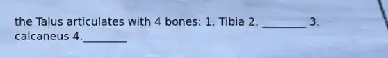 the Talus articulates with 4 bones: 1. Tibia 2. ________ 3. calcaneus 4.________