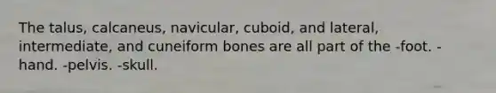 The talus, calcaneus, navicular, cuboid, and lateral, intermediate, and cuneiform bones are all part of the -foot. -hand. -pelvis. -skull.