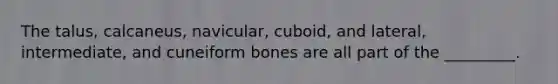 The talus, calcaneus, navicular, cuboid, and lateral, intermediate, and cuneiform bones are all part of the _________.