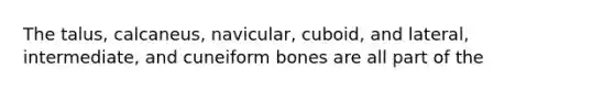 The talus, calcaneus, navicular, cuboid, and lateral, intermediate, and cuneiform bones are all part of the