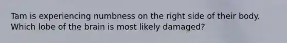 Tam is experiencing numbness on the right side of their body. Which lobe of the brain is most likely damaged?
