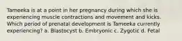 Tameeka is at a point in her pregnancy during which she is experiencing muscle contractions and movement and kicks. Which period of prenatal development is Tameeka currently experiencing? a. Blastocyst b. Embryonic c. Zygotic d. Fetal