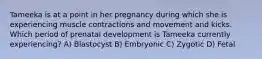 Tameeka is at a point in her pregnancy during which she is experiencing muscle contractions and movement and kicks. Which period of prenatal development is Tameeka currently experiencing? A) Blastocyst B) Embryonic C) Zygotic D) Fetal