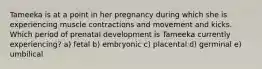 Tameeka is at a point in her pregnancy during which she is experiencing muscle contractions and movement and kicks. Which period of prenatal development is Tameeka currently experiencing? a) fetal b) embryonic c) placental d) germinal e) umbilical