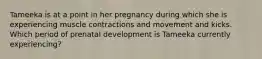 Tameeka is at a point in her pregnancy during which she is experiencing muscle contractions and movement and kicks. Which period of prenatal development is Tameeka currently experiencing?