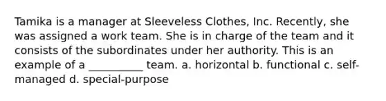 Tamika is a manager at Sleeveless Clothes, Inc. Recently, she was assigned a work team. She is in charge of the team and it consists of the subordinates under her authority. This is an example of a __________ team. a. horizontal b. functional c. self-managed d. special-purpose