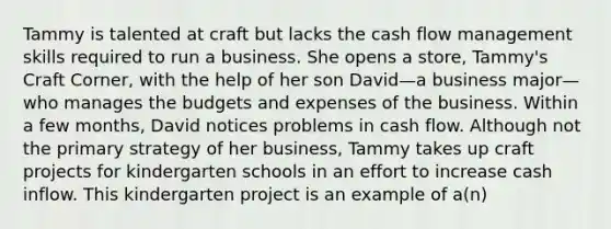 Tammy is talented at craft but lacks the cash flow management skills required to run a business. She opens a store, Tammy's Craft Corner, with the help of her son David—a business major—who manages the budgets and expenses of the business. Within a few months, David notices problems in cash flow. Although not the primary strategy of her business, Tammy takes up craft projects for kindergarten schools in an effort to increase cash inflow. This kindergarten project is an example of a(n)