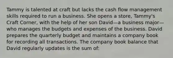 Tammy is talented at craft but lacks the cash flow management skills required to run a business. She opens a store, Tammy's Craft Corner, with the help of her son David—a business major—who manages the budgets and expenses of the business. David prepares the quarterly budget and maintains a company book for recording all transactions. The company book balance that David regularly updates is the sum of: