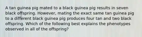 A tan guinea pig mated to a black guinea pig results in seven black offspring. However, mating the exact same tan guinea pig to a different black guinea pig produces four tan and two black offspring. Which of the following best explains the phenotypes observed in all of the offspring?