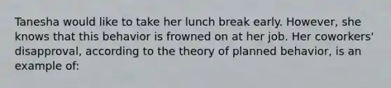 Tanesha would like to take her lunch break early. However, she knows that this behavior is frowned on at her job. Her coworkers' disapproval, according to the theory of planned behavior, is an example of: