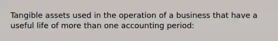 Tangible assets used in the operation of a business that have a useful life of more than one accounting period: