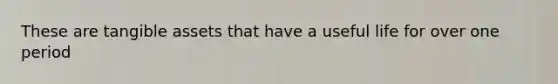 These are tangible assets that have a useful life for over one period