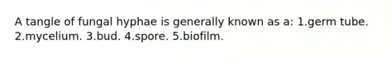 A tangle of fungal hyphae is generally known as a: 1.germ tube. 2.mycelium. 3.bud. 4.spore. 5.biofilm.