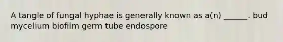 A tangle of fungal hyphae is generally known as a(n) ______. bud mycelium biofilm germ tube endospore