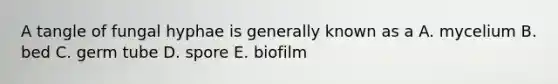 A tangle of fungal hyphae is generally known as a A. mycelium B. bed C. germ tube D. spore E. biofilm